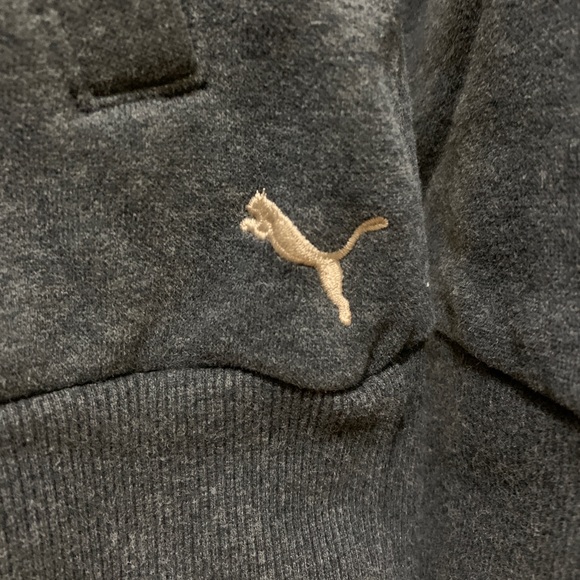 Puma Sport Lifestyle Hoodie - Grey - Picture 5 of 6
